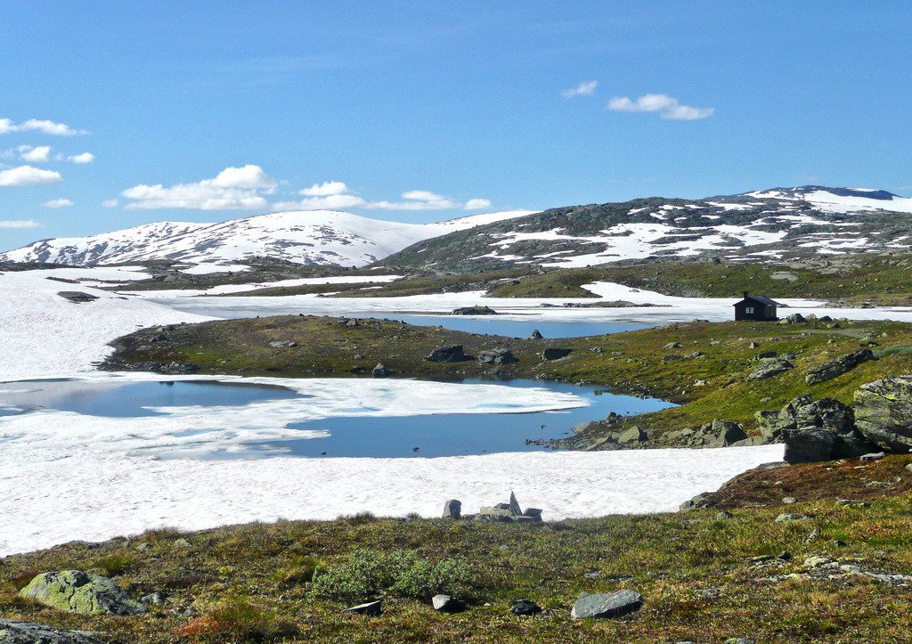 Along the Sognefjellsvegen,