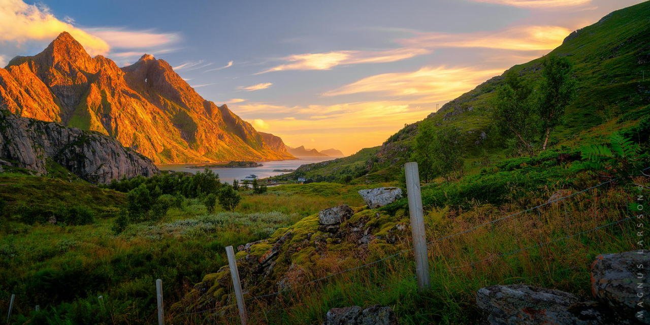 Lofoten Gold (via <a h<a href=