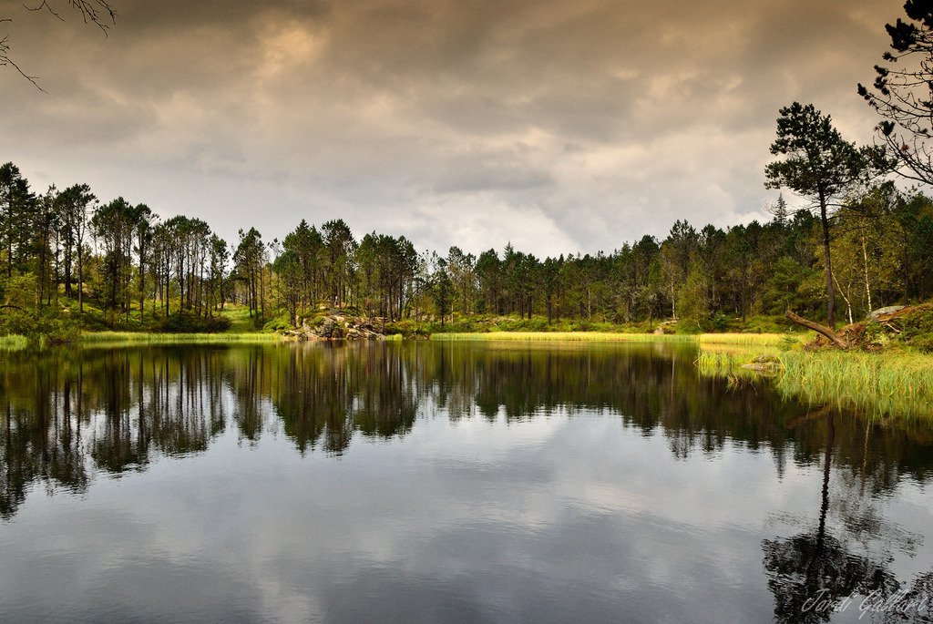 Lago (Norway) (by <a h<a href=