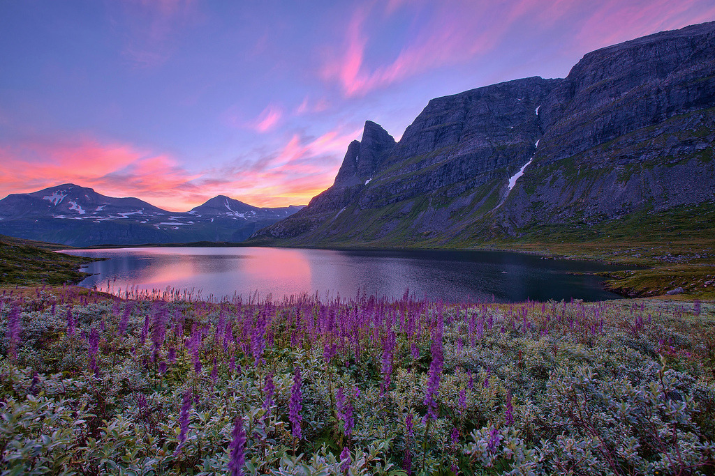 Morning Glory (by <a h<a href=