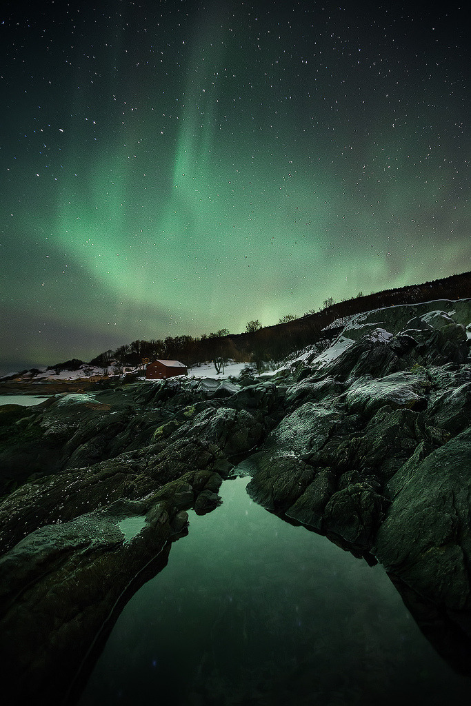 INTO THE LIGHT (by <a h<a href=