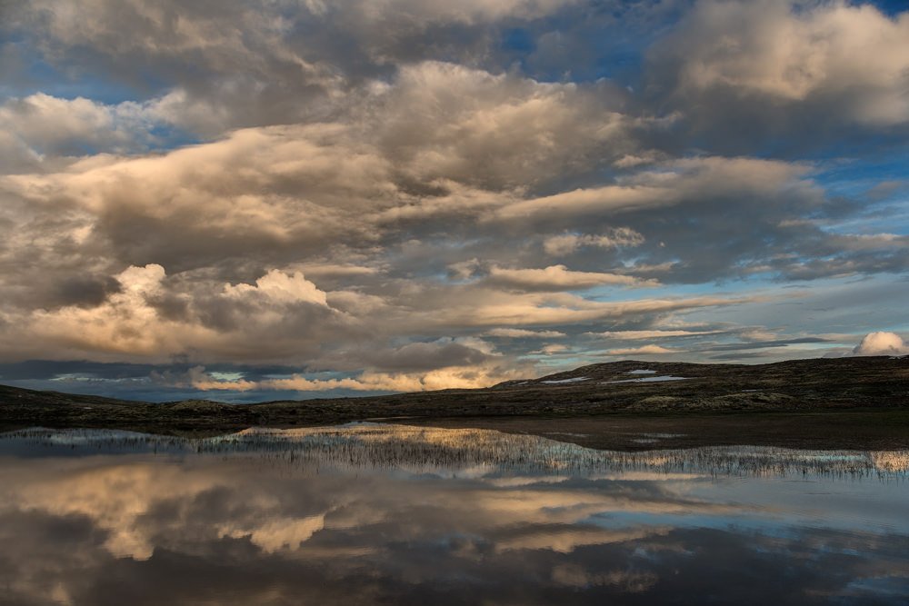 Hardangervidda Lake | Norwa