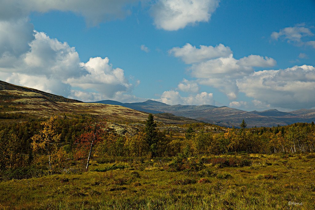 Venabygdsfjellet, Norway (b