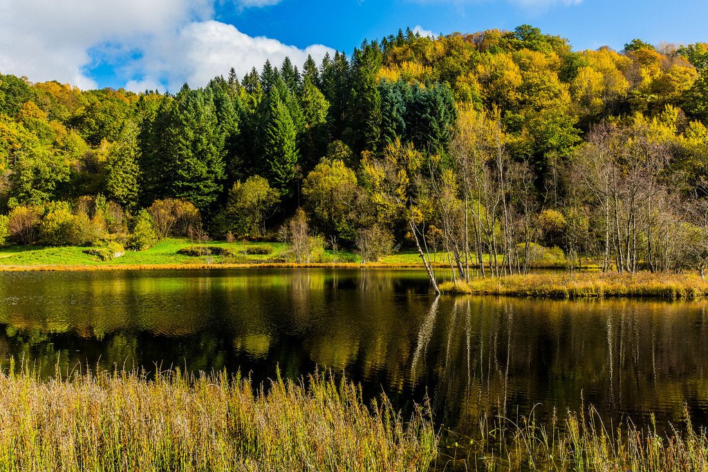 Autumn in Sokndal, Norway.