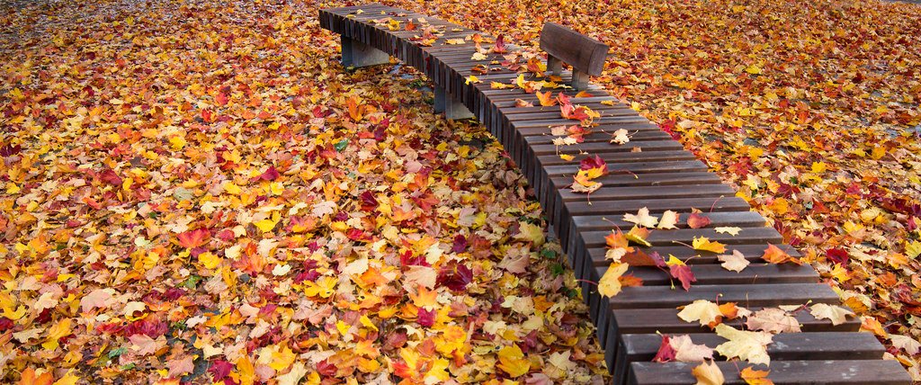 Hamar Autumn (by <a h<a href="