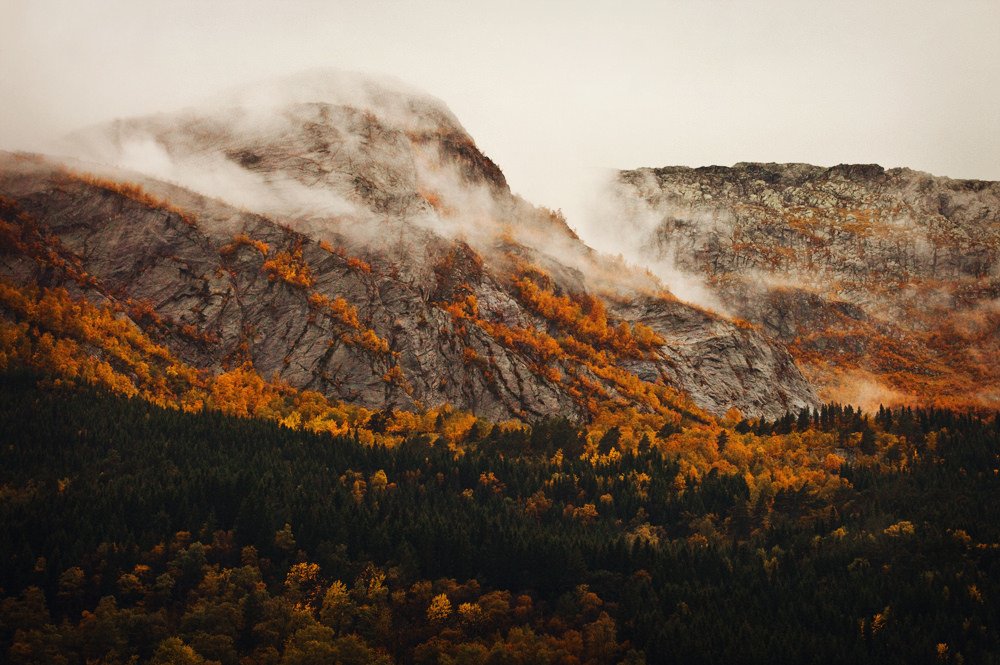 Mountain Fog in Autumn (by