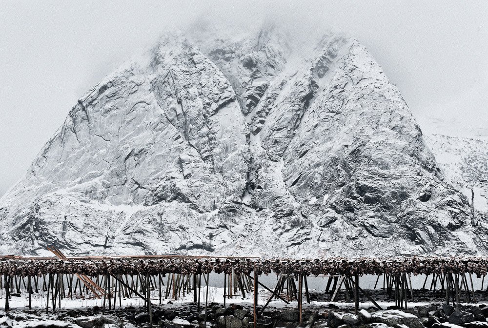 Essence of Lofoten: Olstind