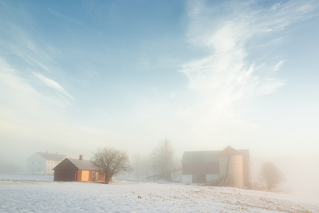 Winter mist (by <a h<a href="h