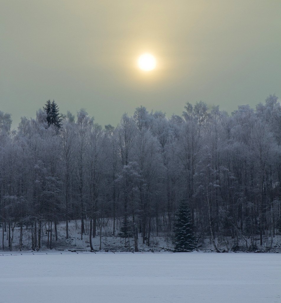 Misty Winter Sun (by <a hre