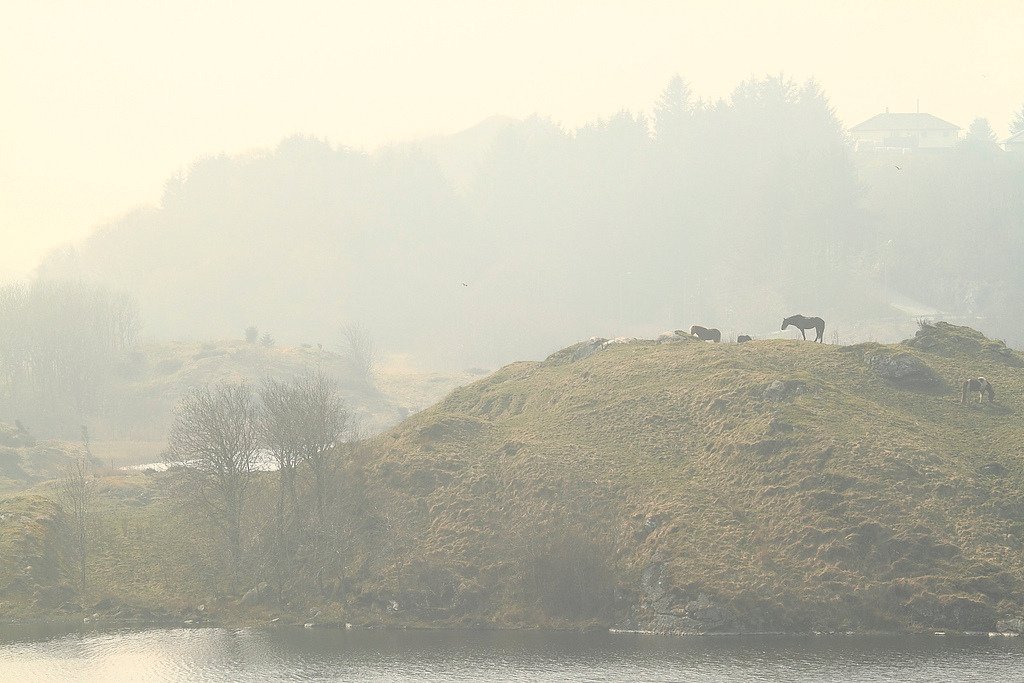 Haugesund, Rogaland, Norway