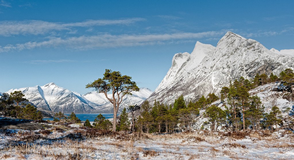 Sørfjorden utenfor Bodø (