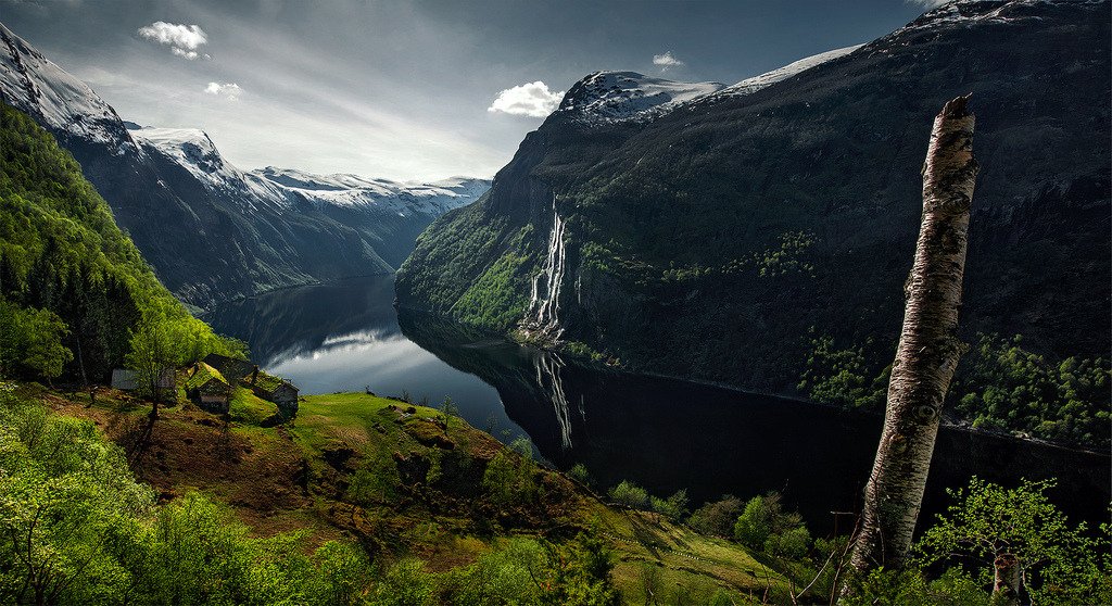 The Green Fjord