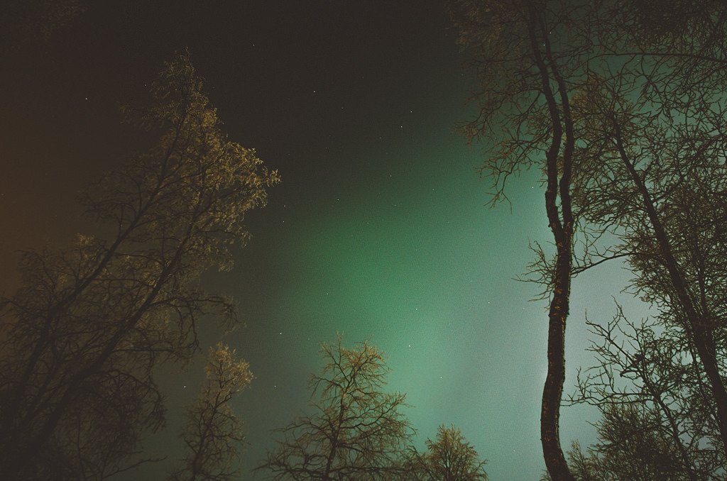 Northern lights in the mist