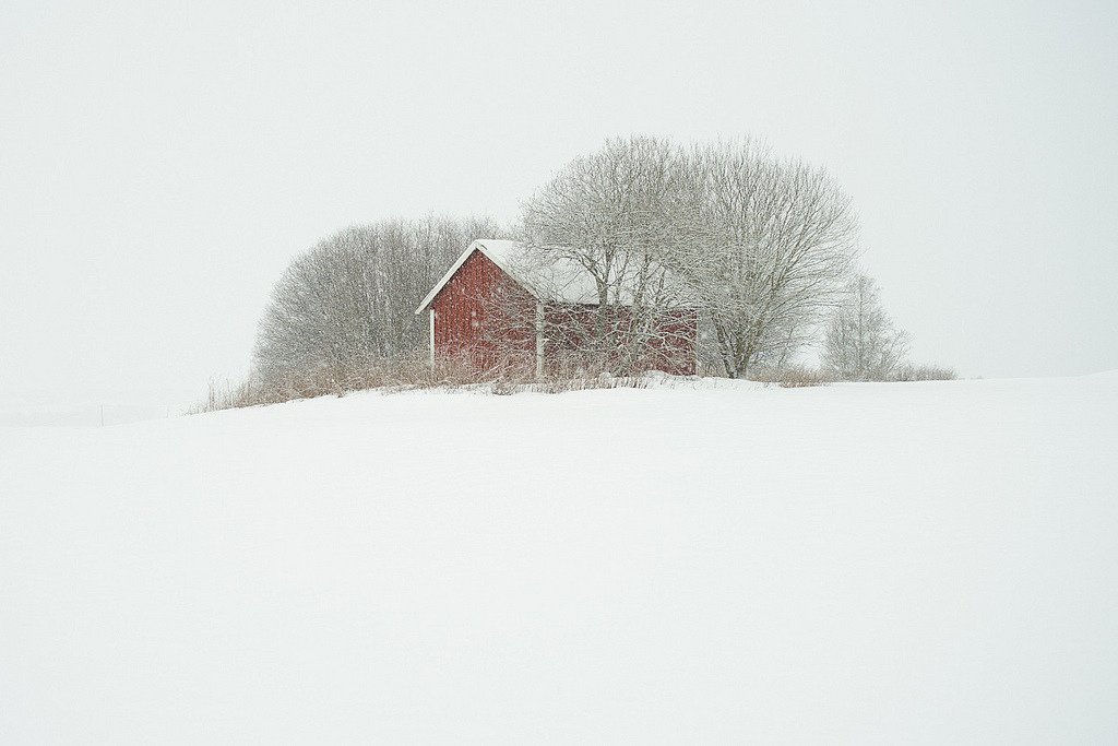 Little red shed in heavy sn