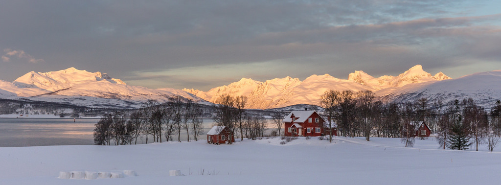Arctic Sunrise