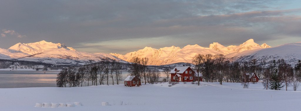 Arctic Sunrise (by <a h<a href=