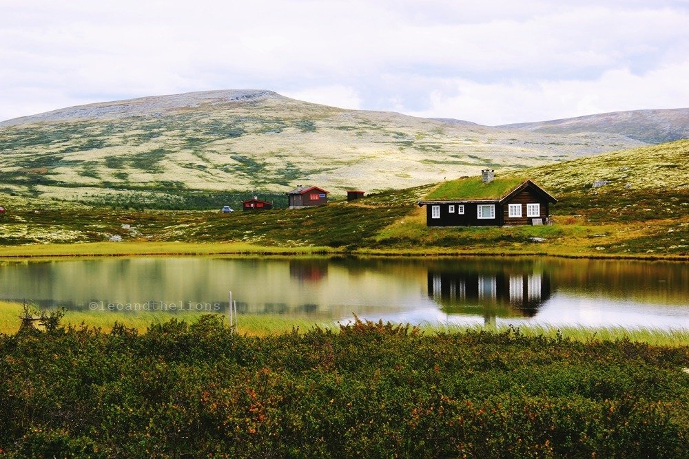 Rondane Nasjonalpark<