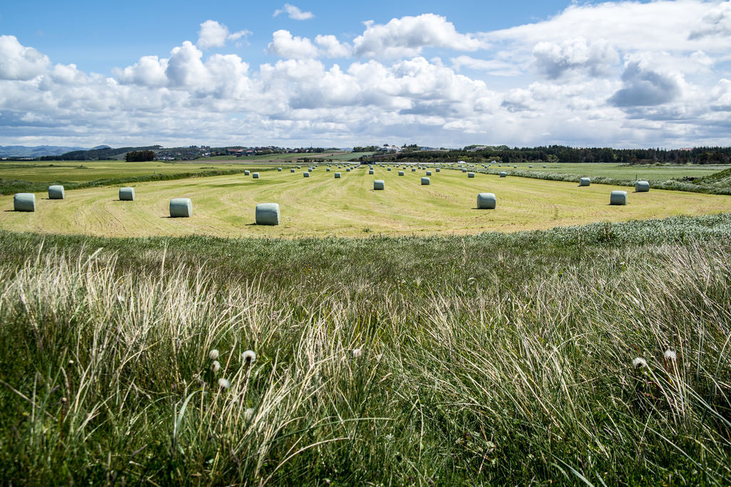 Bale of hay by lh shooter