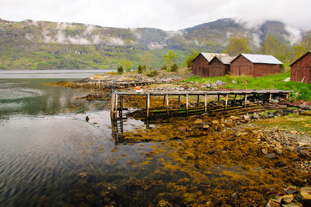 Old pier by Gordon McKinlay