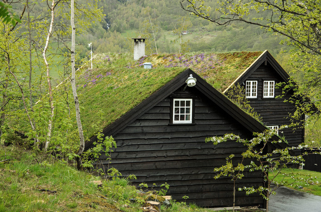 Black paint and grass roof