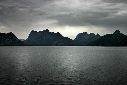 Storm Brewing by Chicken®