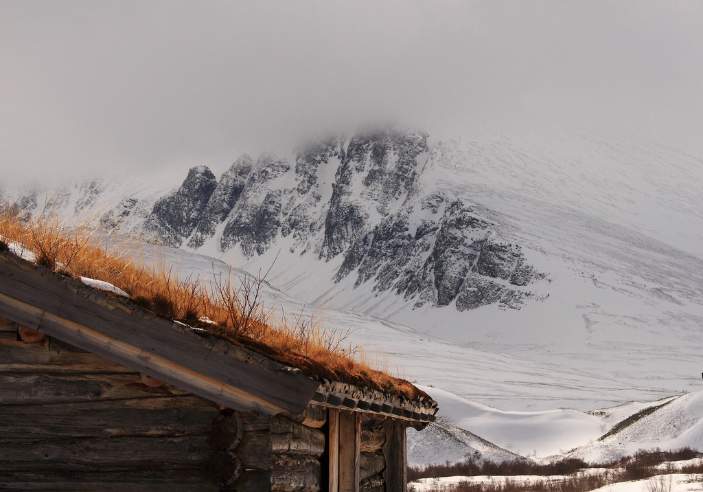 Dørålen by TrondSphoto  <
