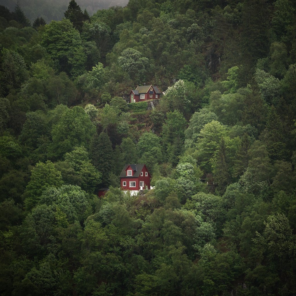 cabin in the woods by makie