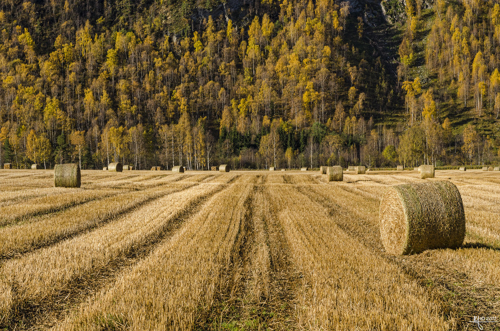 Gudbrandsdalen dressed for