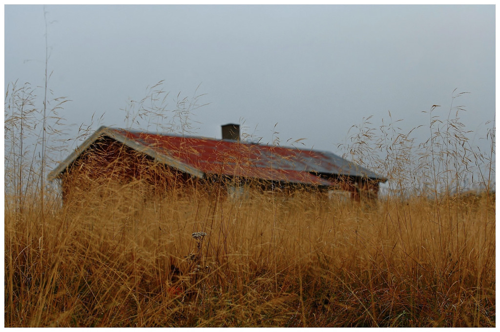 gjemt / hidden by KvikneFot