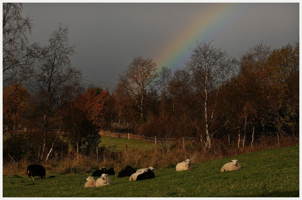 somewhere over the rainbow&