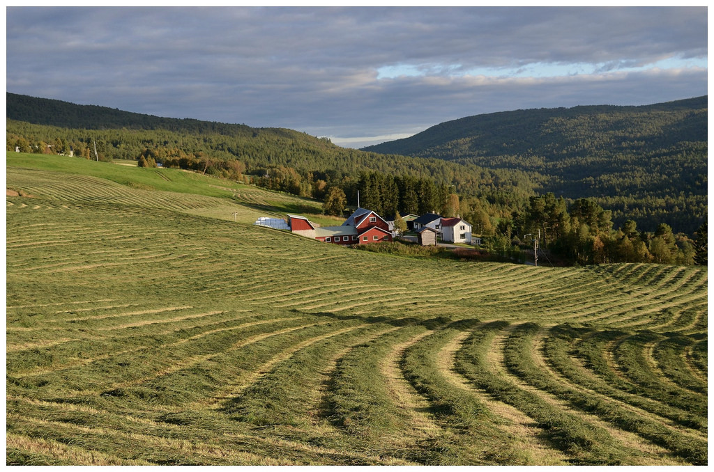 fra grøtligrenda by Kvikne