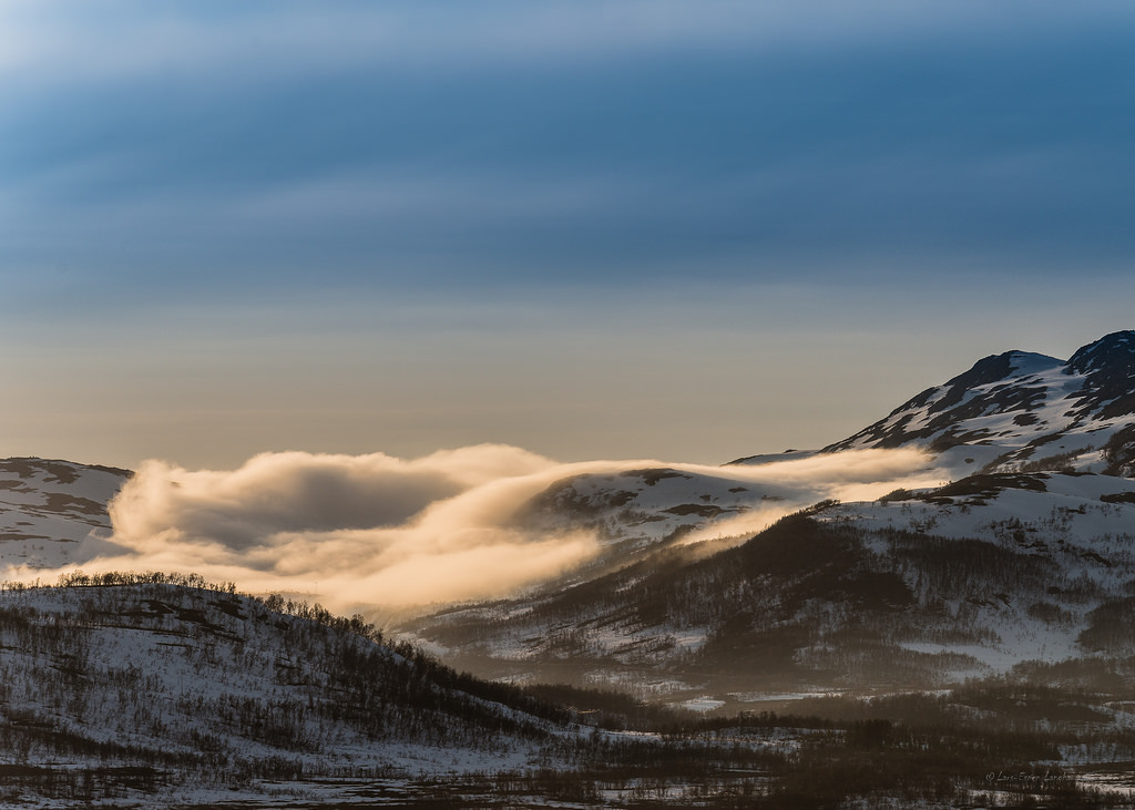 Bomull i Finnvikdalen by mi
