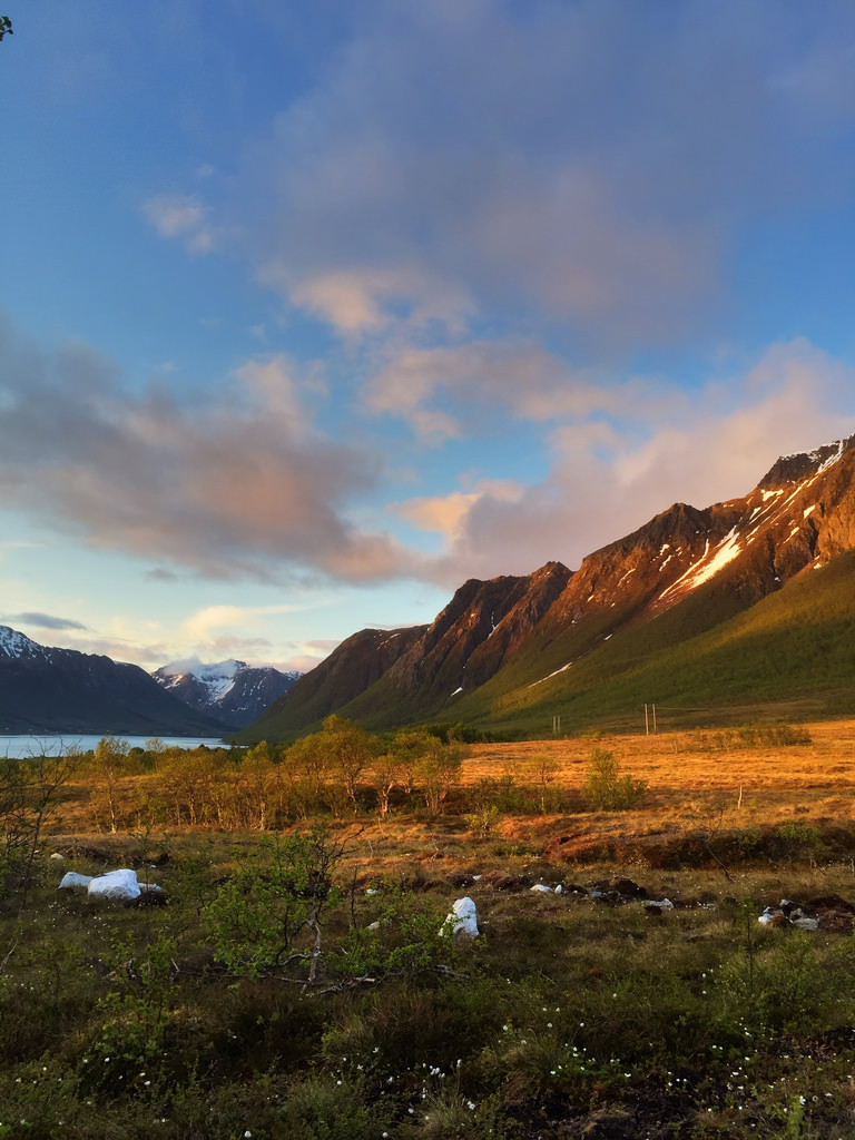 Light from the midnight sun
