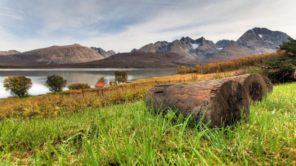Wooden sticks by Einar Ange