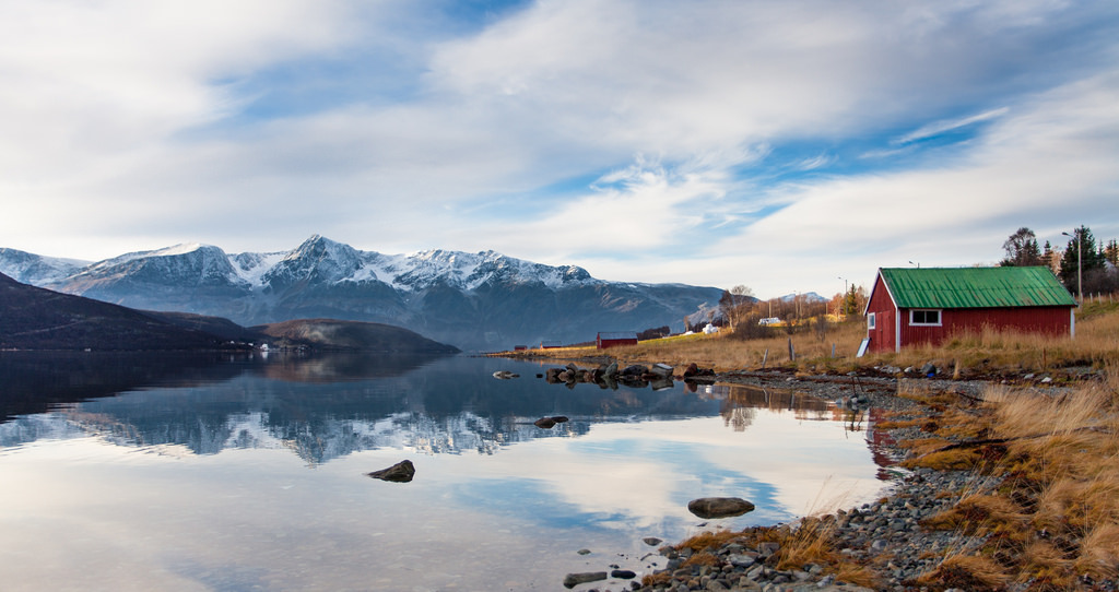 My backyard by Einar Angels