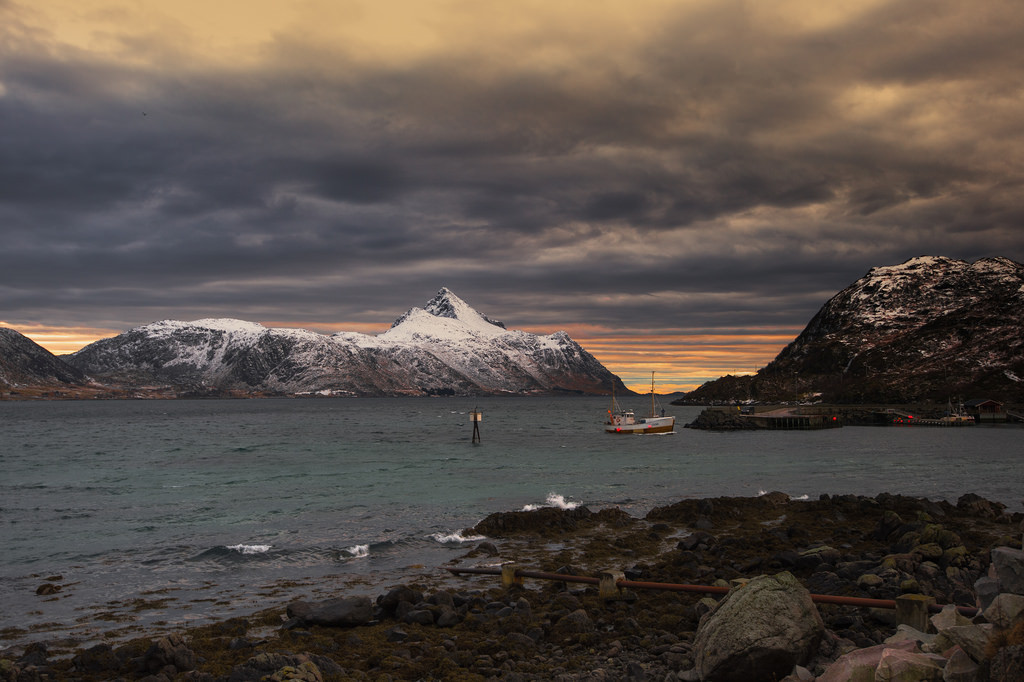 Returning to harbour by ste