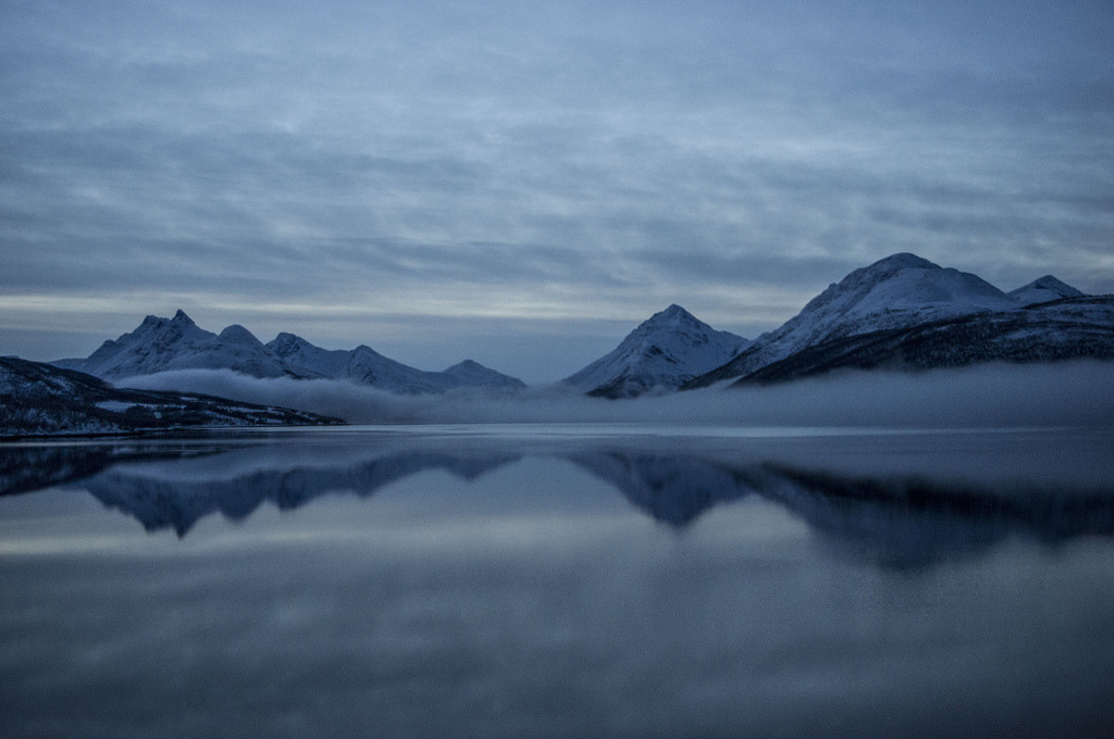 The Sound of Nature by Mich