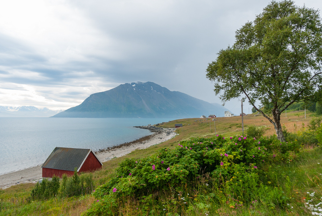 Grøtnes på Reinøya by Ki