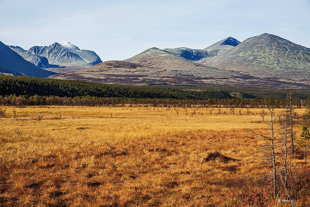 More from Rondane, Atna-myr