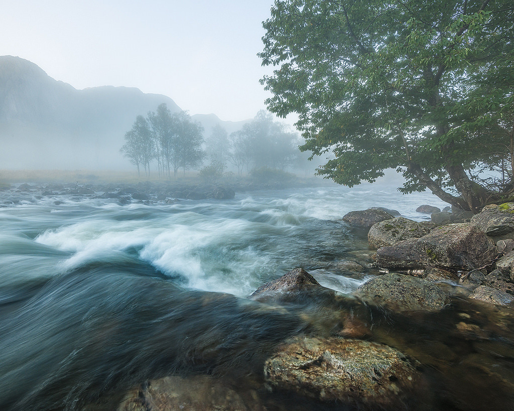 Cold morning by soli m
