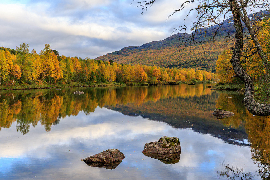Høst by Frode…. #48