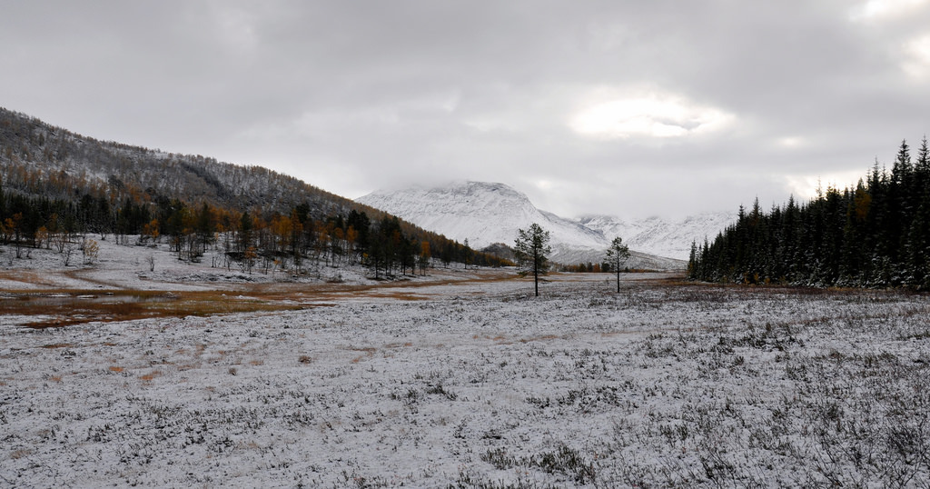 The winter is back again by