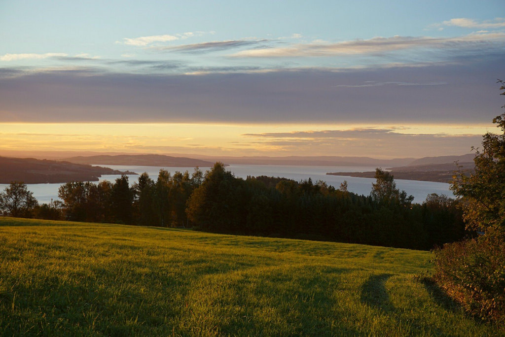 Morning light by janrs7  <a