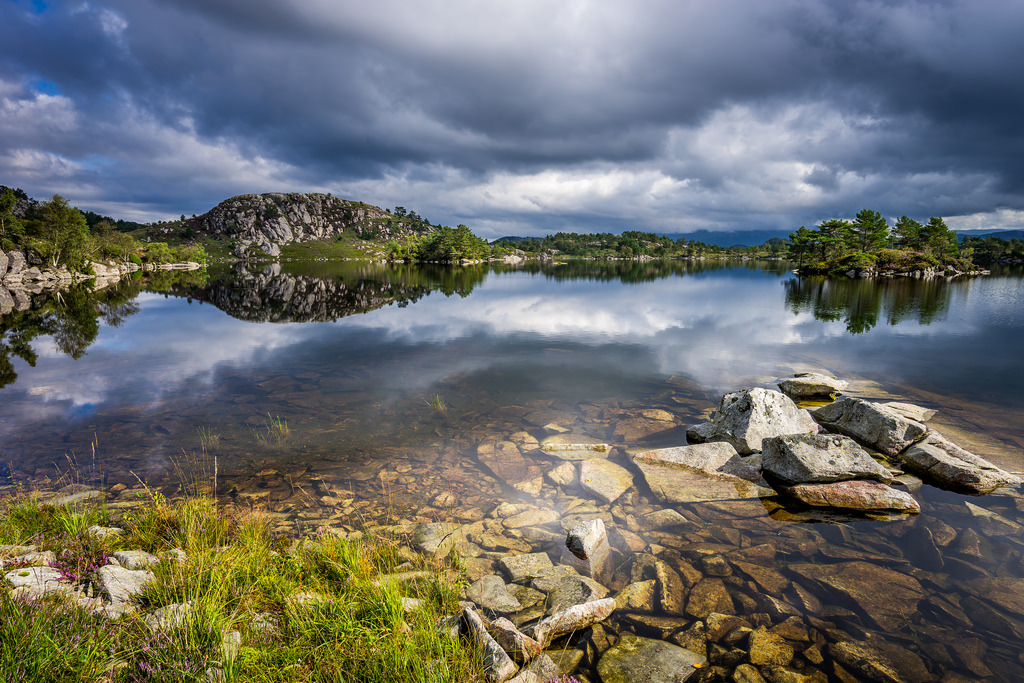 Contrasts by Richard Larsse