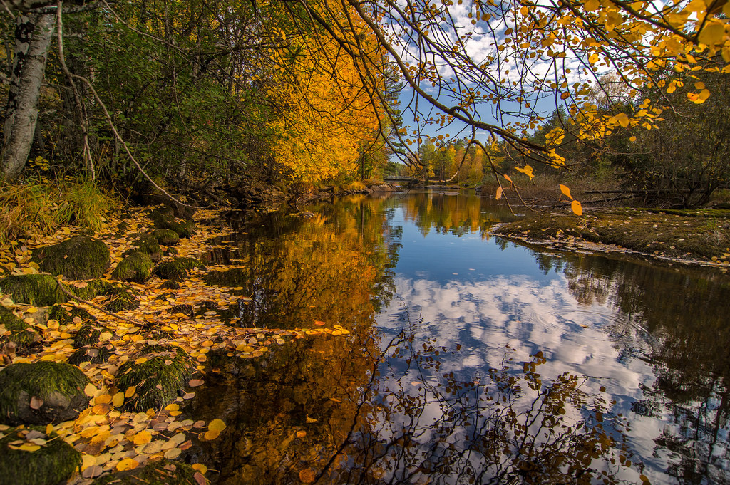 Autumn colors by Bent Velli
