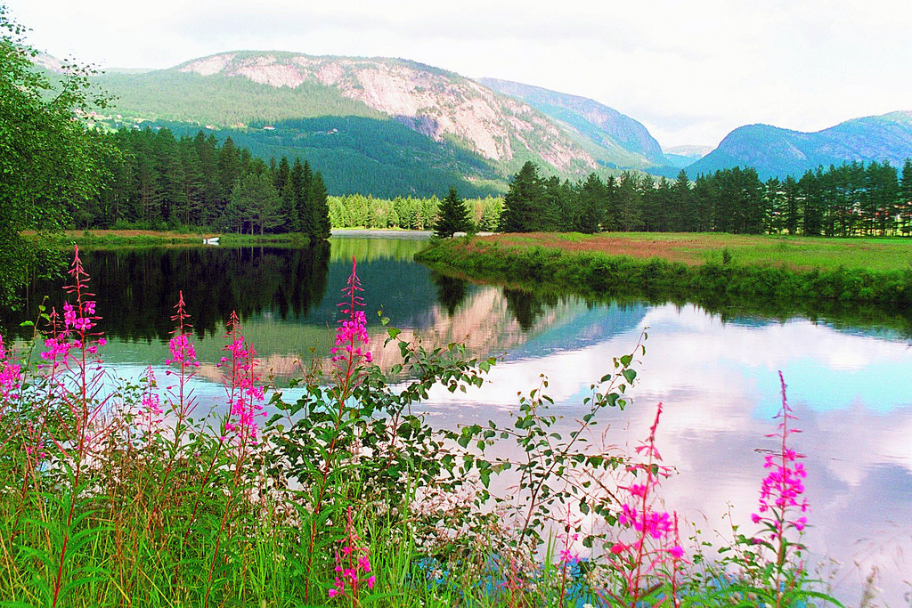 fjords, Norway by Neal J.Wi