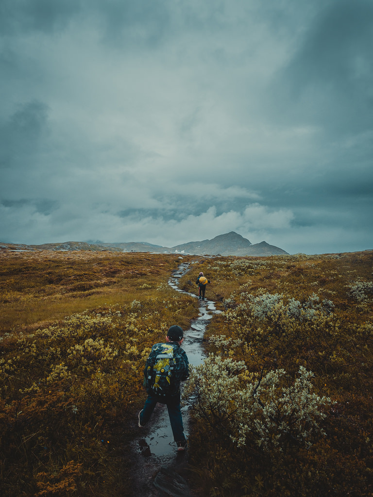 exploring and hiking with t
