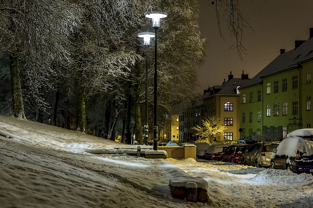 Torshovparken by Bent Tranb