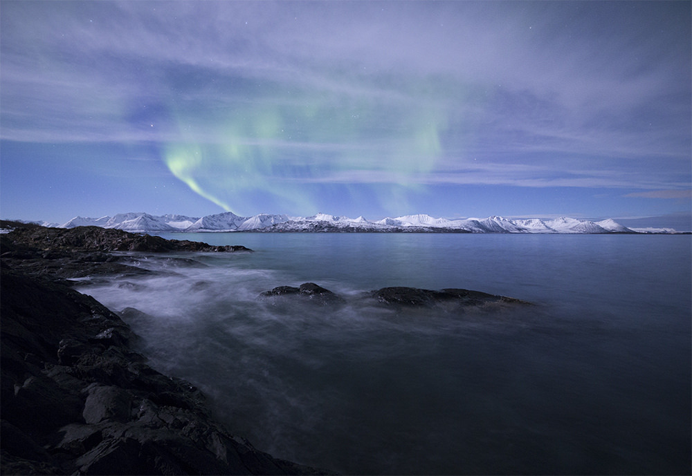 I sat by the ocean by Ronny