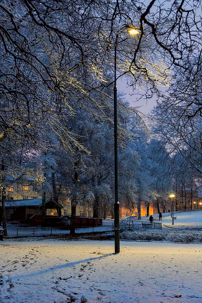 Torshovparken by Bent Tranb